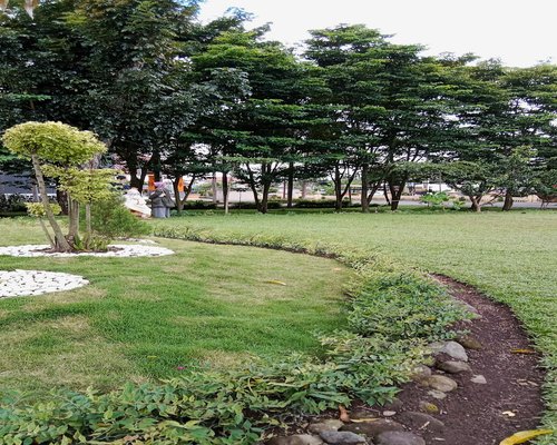 Seseorang bersantai di taman